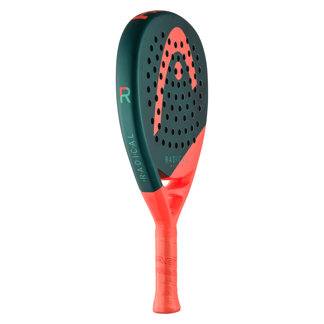 Head Radical Motion 2026